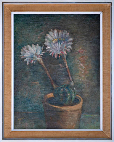 Anica Zupanec Sodnik - Cactus