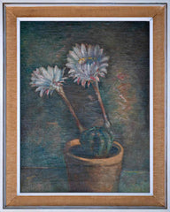 Anica Zupanec Sodnik - Cactus