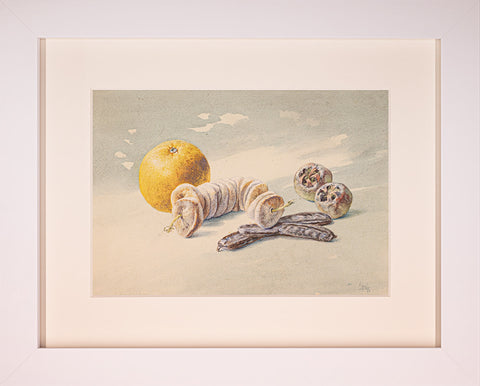 Anton Gvajc - Orange with figs
