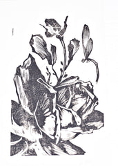 Elo Justin - Rose and Dragonfly