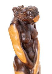 Ivan Napotnik - Sramežljivka