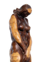 Ivan Napotnik - Sramežljivka