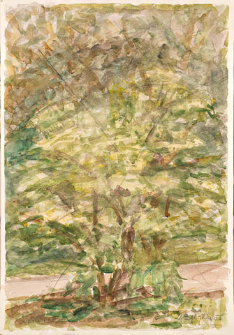 Janez Šibila - Tree in 2002