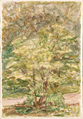 Janez Šibila - Tree in 2002