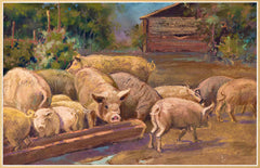 Nasta Rojc - Pigs