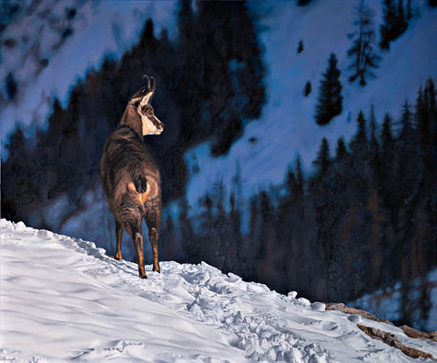 Simon Lavrič - Chamois, 2025