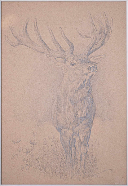 Simon Lavrič - Red Stag, 2025