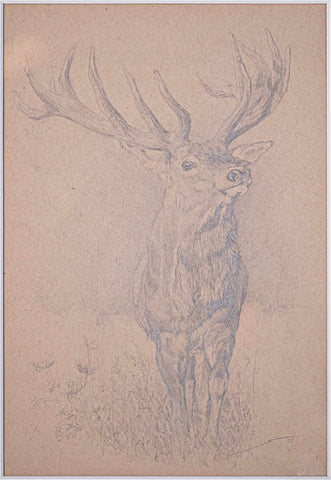 Simon Lavrič - Red Stag, 2025