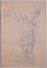Simon Lavrič - Red Stag, 2025