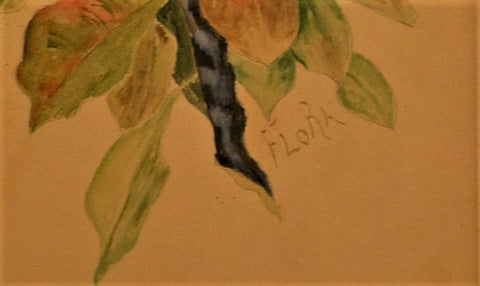 Flora - Pears