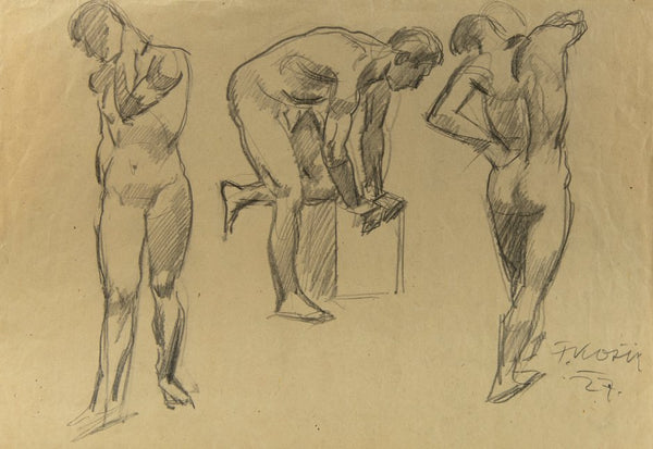 France Košir - A study of the human body