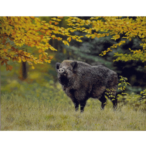 Lavrič Simon - Wild boar